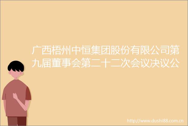 广西梧州中恒集团股份有限公司第九届董事会第二十二次会议决议公告