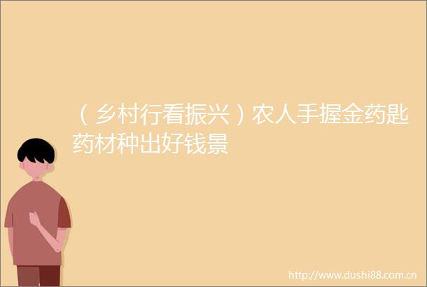 （乡村行看振兴）农人手握金药匙药材种出好钱景