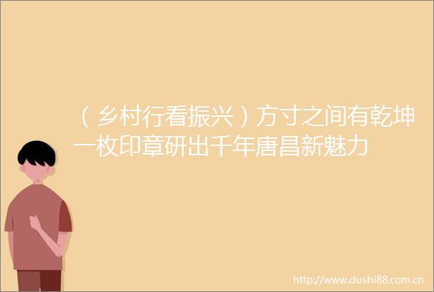 （乡村行看振兴）方寸之间有乾坤一枚印章研出千年唐昌新魅力
