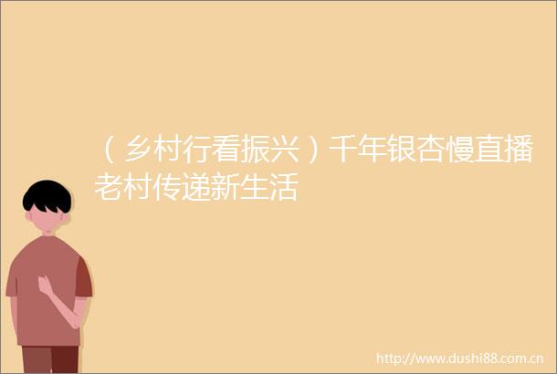 （乡村行看振兴）千年银杏慢直播老村传递新生活
