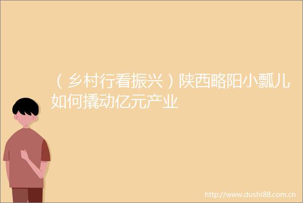 （乡村行看振兴）陕西略阳小瓢儿如何撬动亿元产业