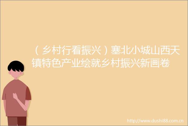 （乡村行看振兴）塞北小城山西天镇特色产业绘就乡村振兴新画卷