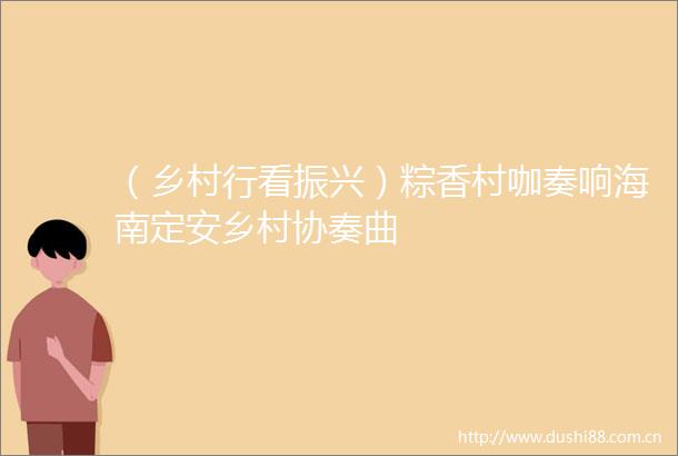 （乡村行看振兴）粽香村咖奏响海南定安乡村协奏曲