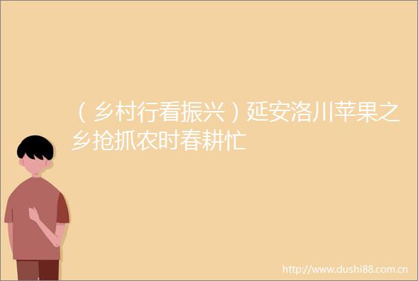 （乡村行看振兴）延安洛川苹果之乡抢抓农时春耕忙