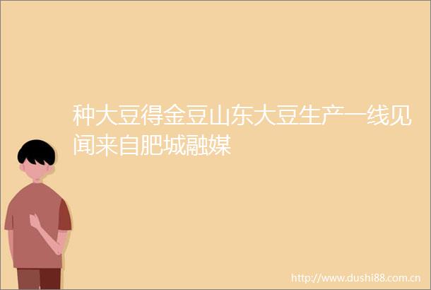 种大豆得金豆山东大豆生产一线见闻来自肥城融媒