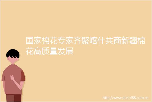 棉花专家齐聚喀什共商新疆棉花高质量发展