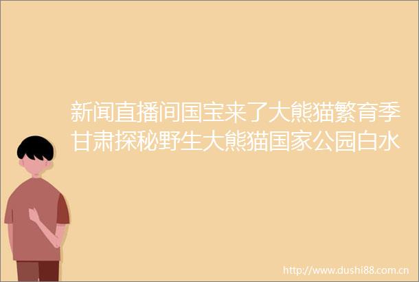 新闻直播间国宝来了大熊猫繁育季甘肃探秘野生大熊猫公园白水江园区