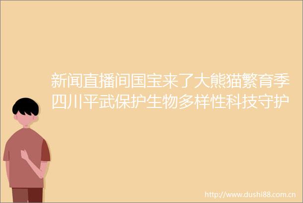 新闻直播间国宝来了大熊猫繁育季四川平武保护生物多样性科技守护大熊猫公园