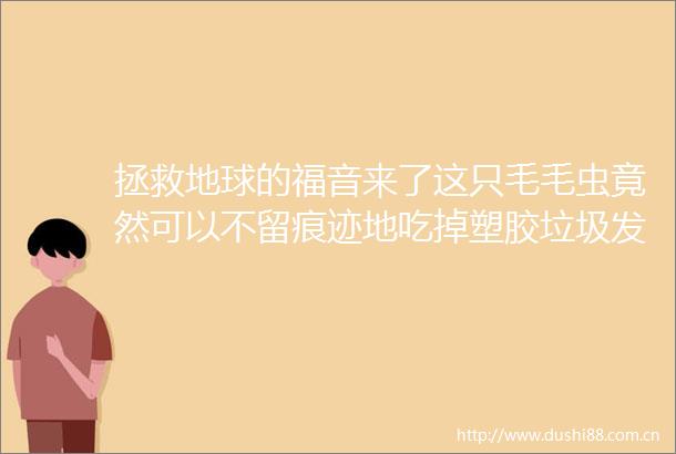 拯救地球的福音来了这只毛毛虫竟然可以不留痕迹地吃掉塑胶垃圾发现