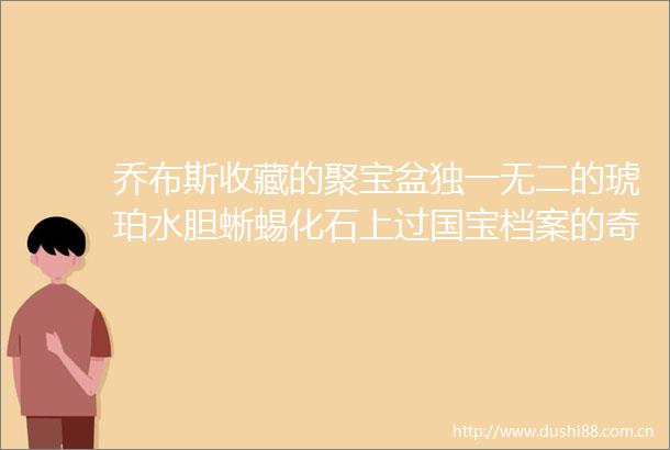乔布斯收藏的聚宝盆独一无二的琥珀水胆蜥蜴化石上过国宝档案的奇石400多件极品宝石展免费在沪展出