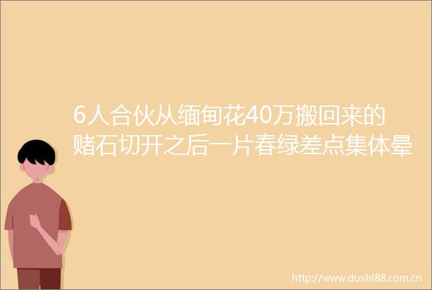 6人合伙从缅甸花40万搬回来的赌石切开之后一片春绿差点集体晕倒