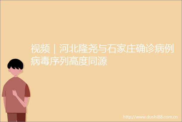 视频｜河北隆尧与石家庄确诊病例病毒序列高度同源