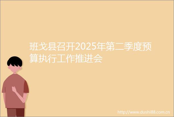 班戈县召开2025年第二季度预算执行工作推进会