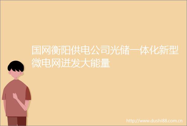 国网衡阳供电公司光储一体化新型微电网迸发大能量