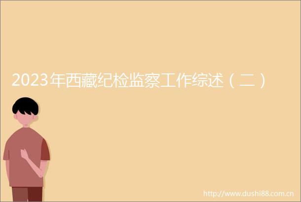 2023年西藏纪检监察工作综述（二）