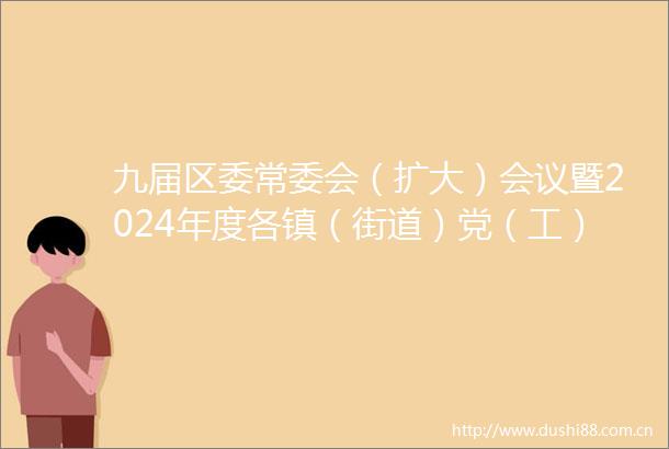 九届区委常委会（扩大）会议暨2024年度各镇（街道）党（工）委书记和区直有关党（工）委书记抓基层党建工作述职评议会议召开