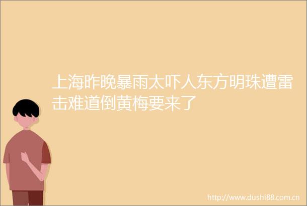 上海昨晚暴雨太吓人东方明珠遭雷击难道倒黄梅要来了