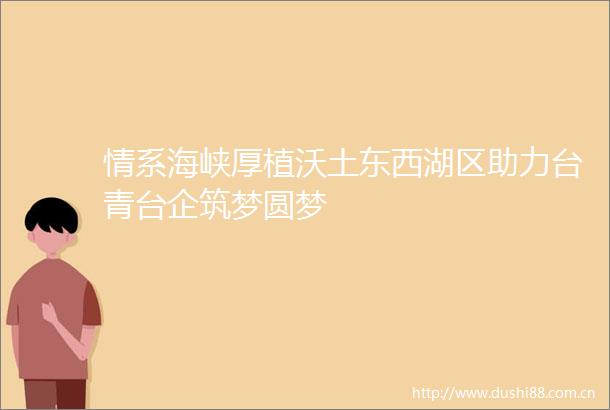 情系海峡厚植沃土东西湖区助力台青台企筑梦圆梦