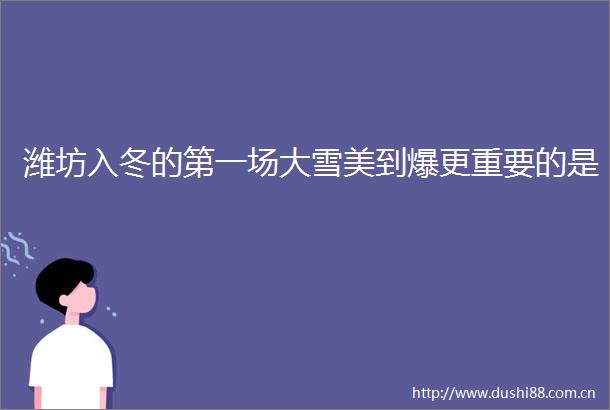 潍坊入冬的第一场大雪美到爆更重要的是