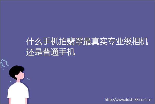 什么手机拍翡翠最真实专业级相机还是普通手机