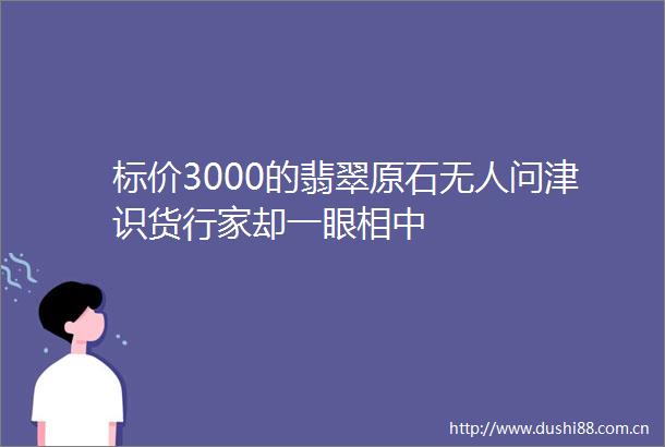 标价3000的翡翠原石无人问津识货行家却一眼相中
