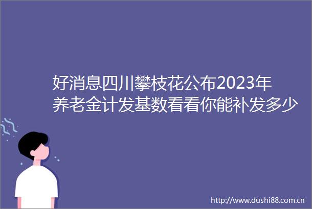 好消息四川攀枝花公布2023年养老金计发基数看看你能补发多少