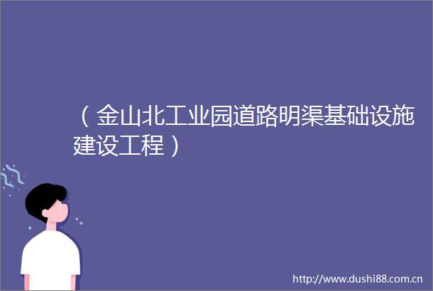 （金山北工业园道路明渠基础设施建设工程）