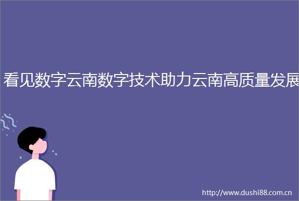 看见数字云南数字技术助力云南高质量发展