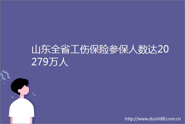 山东全省工伤保险参保人数达20279万人