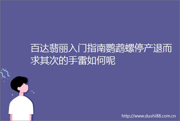 百达翡丽入门指南鹦鹉螺停产退而求其次的手雷如何呢