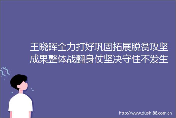 王晓晖全力打好巩固拓展脱贫攻坚成果整体战翻身仗坚决守住不发生规模性返贫的底线
