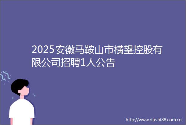2025安徽马鞍山市横望控股有限公司招聘1人公告