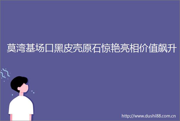 莫湾基场口黑皮壳原石惊艳亮相价值飙升