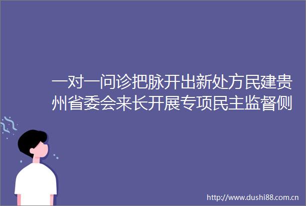 一对一问诊把脉开出新处方民建贵州省委会来长开展专项民主监督侧记