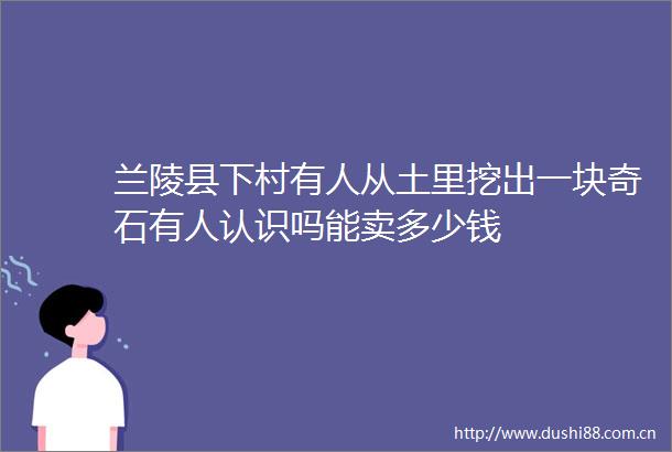 兰陵县下村有人从土里挖出一块奇石有人认识吗能卖多少钱