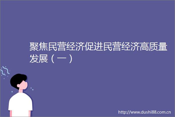 聚焦民营经济促进民营经济高质量发展（一）