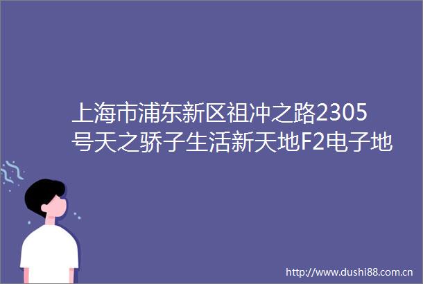 上海市浦东新区祖冲之路2305号天之骄子生活新天地F2电子地