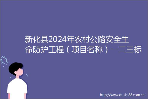 新化县2024年农村公路安全生命防护工程（项目名称）一二三标段施工招标公告