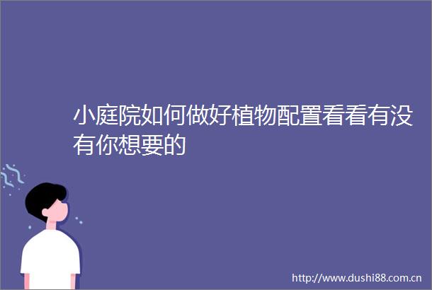 小庭院如何做好植物配置看看有没有你想要的