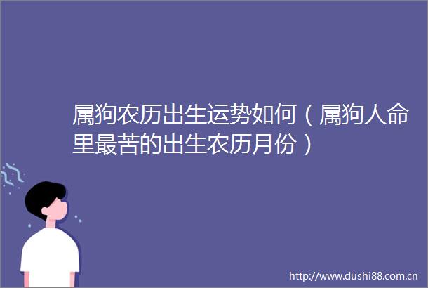 属狗农历出生运势如何（属狗里最苦的出生农历月份）