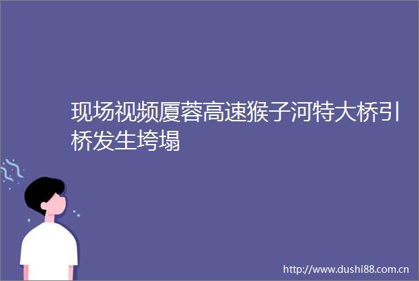 现场视频厦蓉高速猴子河特大桥引桥发生垮塌