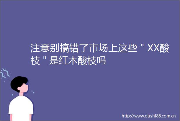 注意别搞错了市场上这些＂XX酸枝＂是红木酸枝吗