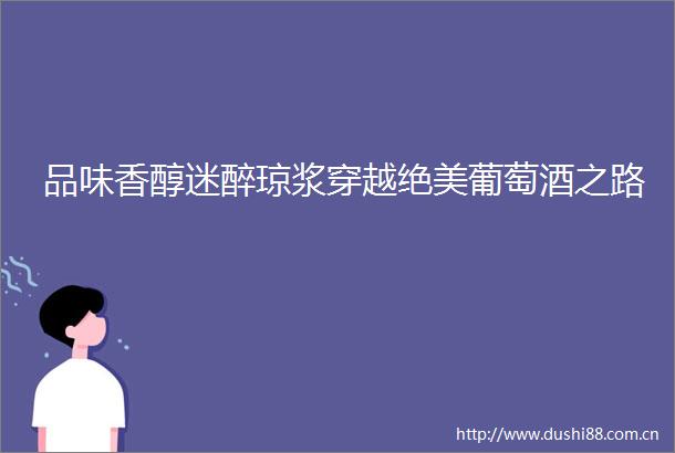 品味香醇迷醉琼浆穿越绝美葡萄酒之路