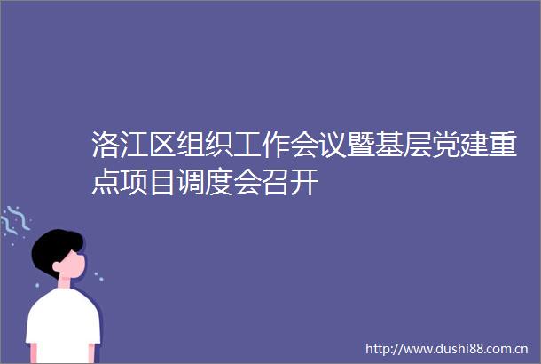 洛江区组织工作会议暨基层党建重点项目调度会召开