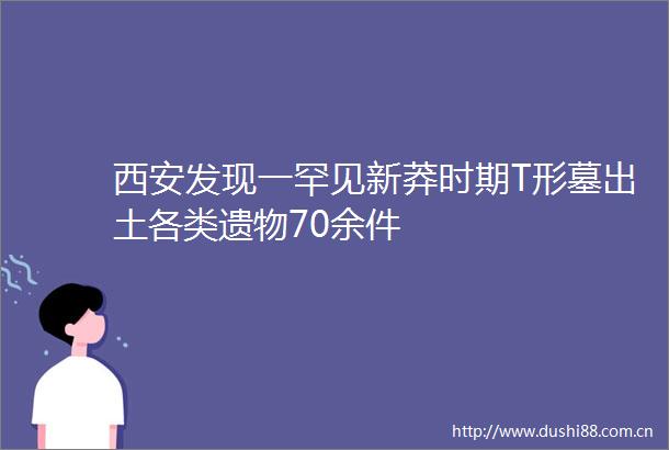 西安发现一罕见新莽时期T形墓出土各类遗物70余件