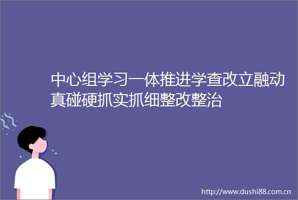 中心组学习一体推进学查改立融动真碰硬抓实抓细整改整治