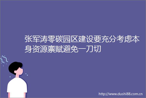 张军涛零碳园区建设要充分考虑本身资源禀赋避免一刀切