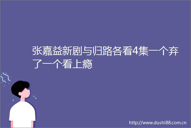 张嘉益新剧与归路各看4集一个弃了一个看上瘾
