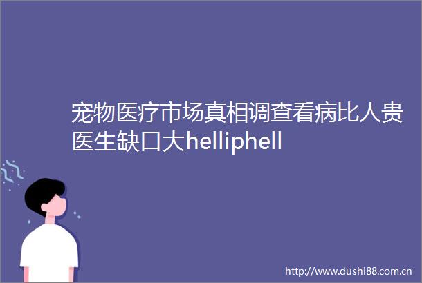 宠物医疗市场真相调查看病比人贵医生缺口大helliphellip