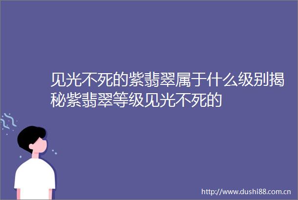 见光不死的紫翡翠属于什么级别揭秘紫翡翠等级见光不死的